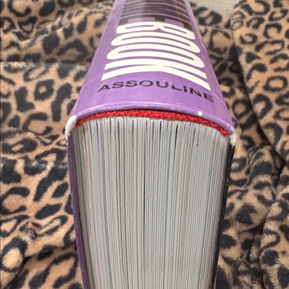 Assouline Louvre Game Book (2005) — image 7 of 8